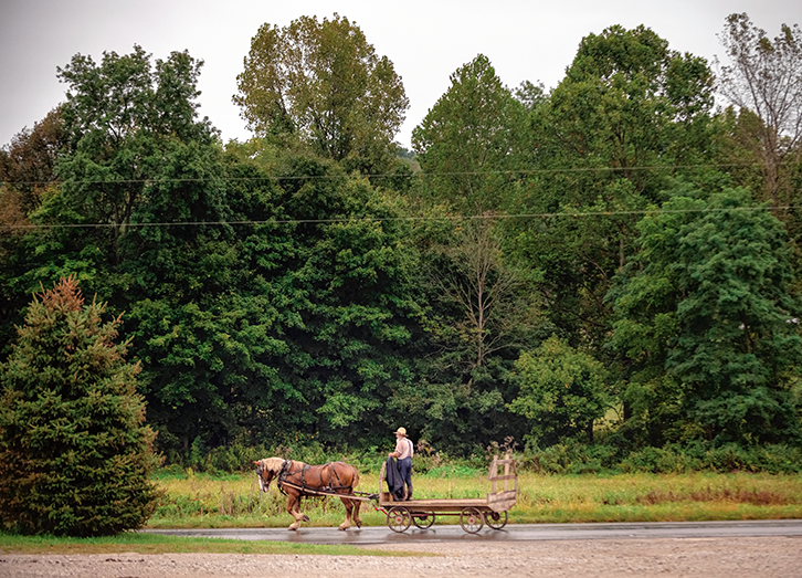 Farmer and horse