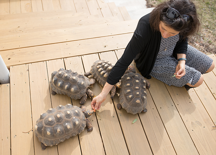 Balinda with turtle